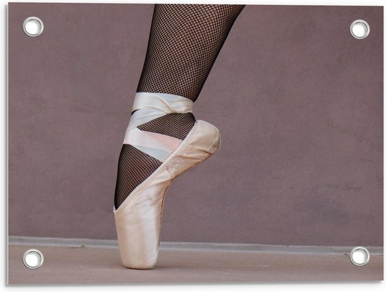 Tuinposter – Ballerina met Spitzen en Panty - 40x30cm Foto op Tuinposter  (wanddecoratie voor buiten en binnen)