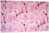 Tuinposter – Roze Flamingo's Patroon - 120x80cm Foto op Tuinposter  (wanddecoratie voor buiten en binnen)