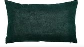 Oneiro's Luxe Sierkussen DAZY Groen - 50 x 30 cm - sierkussens - Nylon - polyester - luipaard - interieur - kussens woonkamer - kussens - woonaccessoires - sierkussens groen