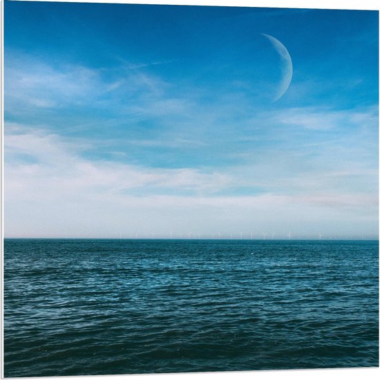 Forex - Maan boven Zee (overdag) - 80x80cm Foto op Forex