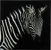 Schilderij zebra Wild life L - zwart/wit