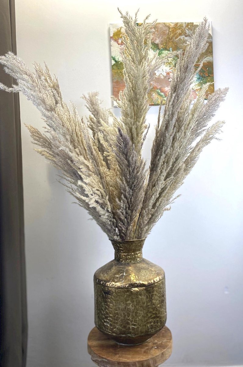 Pampas pluimen 15 stuks Naturel 100cm Dried Flowers Gedroogde bloemen Droogbloemen Cor