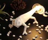 Chameleon lamp - Chameleonlamp - kameleon lamp - Sfeer tafel lamp / vloer lamp - Inclusief LED lamp - trendy woonaccessoire