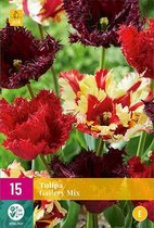 Jub Holland - bloembollen - Tulpen Gallery Mix - maat 11/12 - 15 stuks