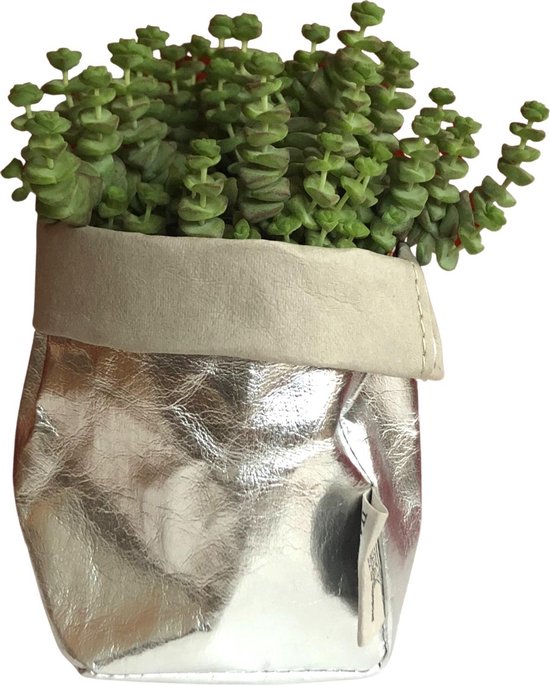 de Zaktus - Crassula Hottentot - vetplant - paper bag zilver grijs - Maat M
