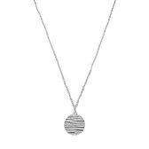 Zebra coin ketting - Zilver - 42 cm