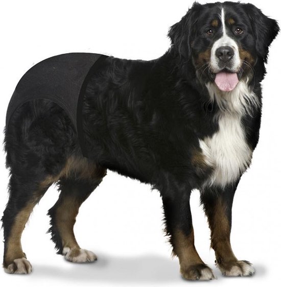 Duvo Honden loopsheidsbroekje XXL