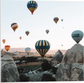 Acrylglas - Meerde Luchtballonnen in de Lucht - 50x50cm Foto op Acrylglas (Met Ophangsysteem)