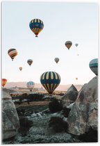 Acrylglas - Meerde Luchtballonnen in de Lucht - 40x60cm Foto op Acrylglas (Met Ophangsysteem)