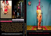 House Of Gord - Erin Sinclair: Quadro Spanked