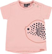 Babyface Newborn T-shirt  Meisjes  - Maat 56