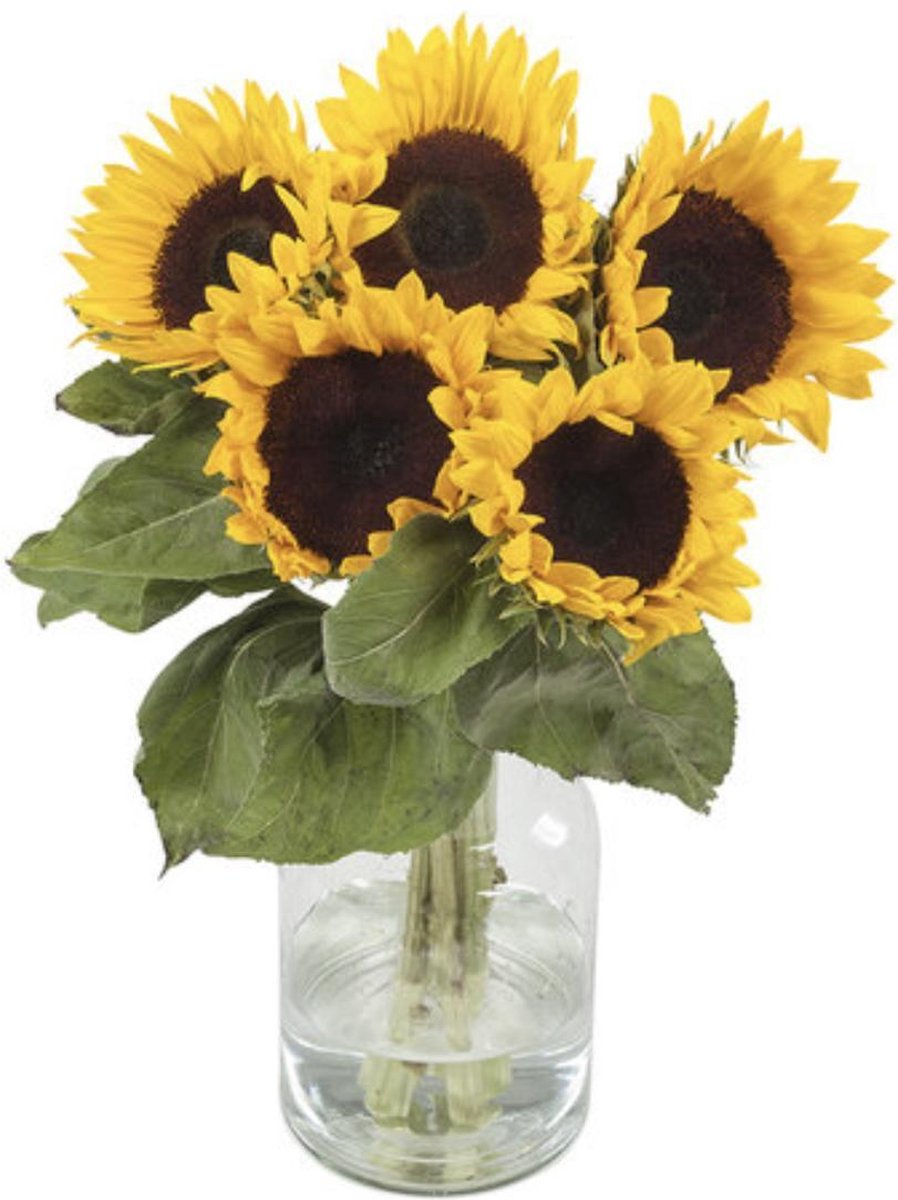 Bol Com Mama S Bloemen Zonnebloemen 60 Cm Normale Bos