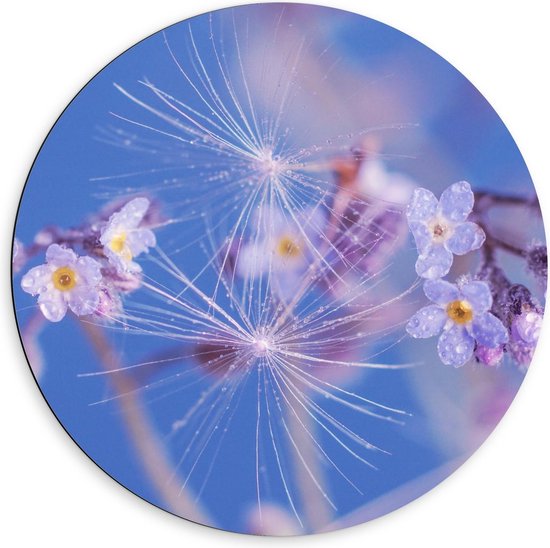 Dibond Wandcirkel - Takje Bloemen met Waterdruppels - 60x60cm Foto op Aluminium Wandcirkel (met ophangsysteem)