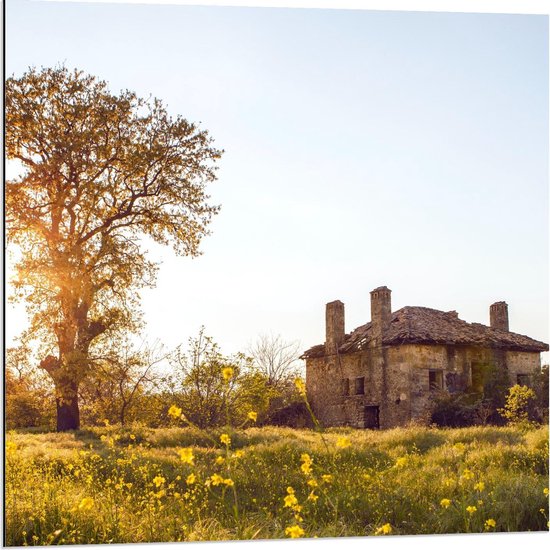 Dibond - Vervallen Huisje in Grasveld - 80x80cm Foto op Aluminium (Met Ophangsysteem)