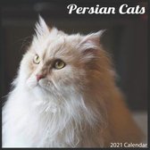 Persian Cats 2021 Calendar