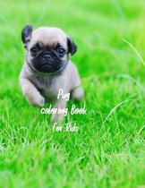 Pug coloring book for kids: Cute Dog Coloring Book for Boys Girls, Boys and More. Size: (8.5x11)  Cover Finish