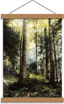 Schoolplaat – Groen Bos - 30x40cm Foto op Textielposter (Wanddecoratie op Schoolplaat)