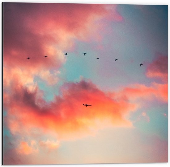 Dibond - Vogels bij Pastelkleurige Wolken  - 50x50cm Foto op Aluminium (Met Ophangsysteem)