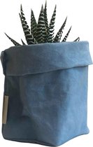 de Zaktus - Haworthia Big Band - vetplant - paper bag licht blauw - Maat M