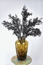 Droogbloemen - Ruscus zalm - Natuurlijk Bloemen - 70 cm