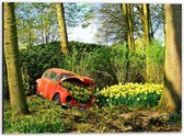Dibond - Rode Auto vol met Gele Bloemen - 40x30cm Foto op Aluminium (Wanddecoratie van metaal)