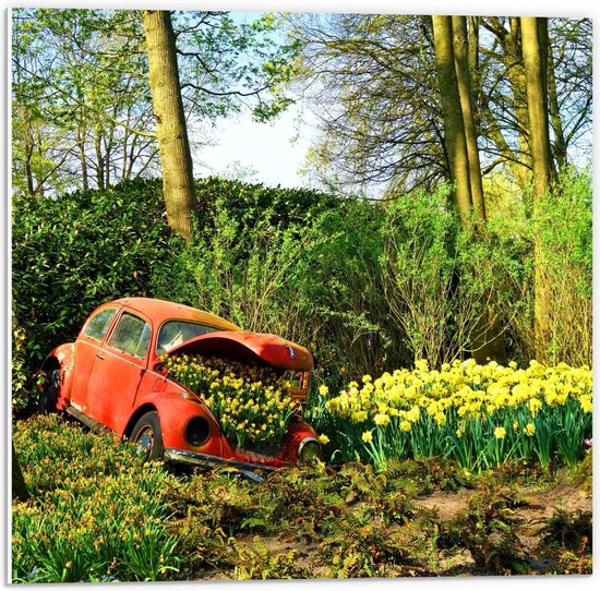 Forex - Rode Auto vol met Gele Bloemen - 50x50cm Foto op Forex