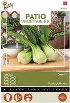 Buzzy® Patio Vegetables, Pak Choi Green