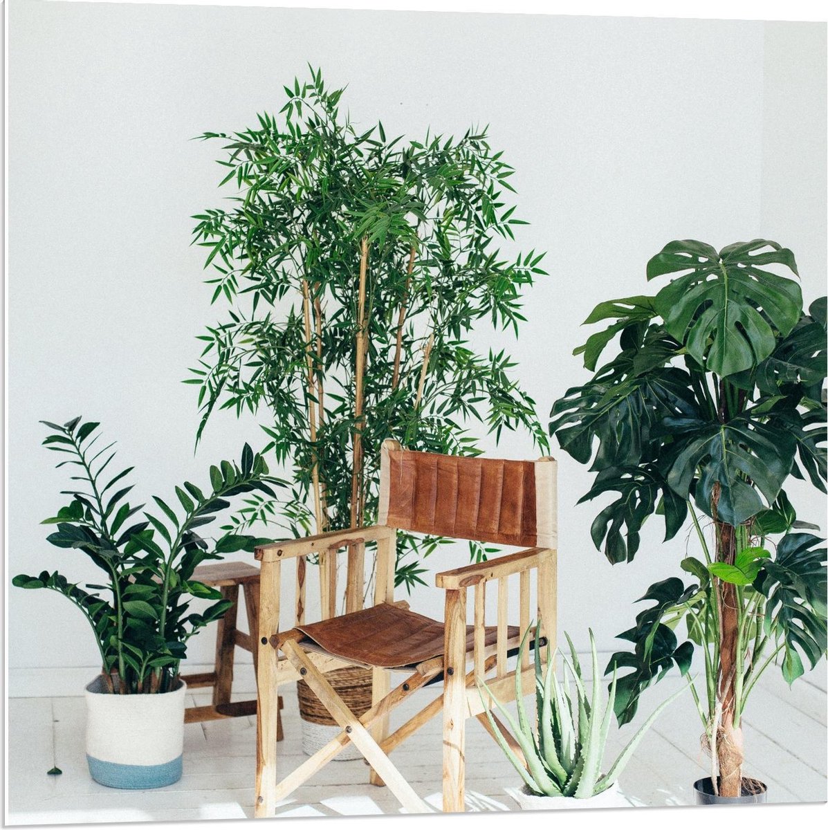 Forex - Tuinstoeltje tussen Planten - 80x80cm Foto op Forex