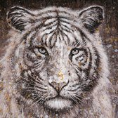 Foto op canvas "Wildlife" tijger