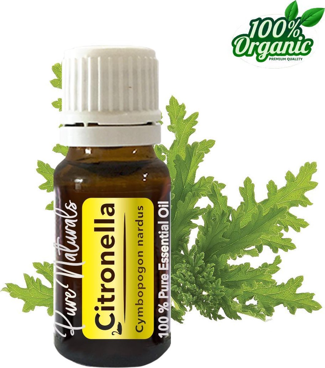 Moritz Lampenöl 2250 ml BIO Lampenöl citronella, für Bambusfackeln