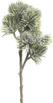 By Kohler Pinus Spray Mugo Flocked 58cm (114523)