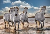 Rennende Paarden op het Strand   - 70x50cm - VIERKANT – HQ Diamond Painting volledig dekkend - Diamant Schilderen  voor Volwassenen – Dieren - Strand - Paard