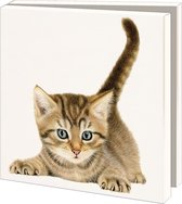 Kaartenmapje met env, vierkant: Kittens, Francien van Westering