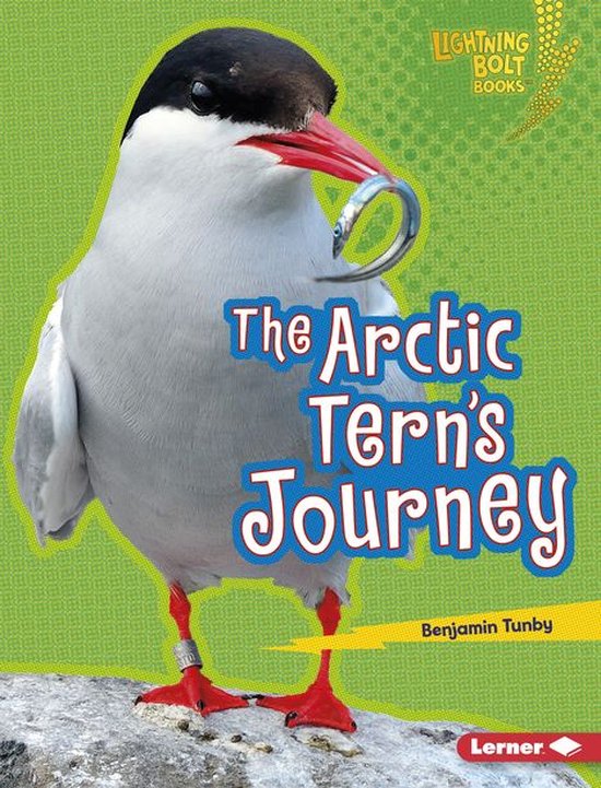 Lightning Bolt Books ® — Amazing Migrators - The Arctic T ... - cover
