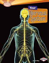 Searchlight Books ™ — How Does Your Body Work? - Your Nervous System
