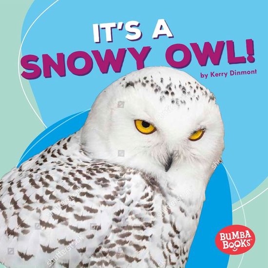 Bumba Books ® — Polar Animals - It's a Snowy Owl! - cover