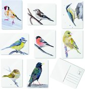Vogel Wenskaarten set - 8 stuks- Blanco- Ansichtkaarten - Postkaarten - De originele illustraties zijn handgemaakt door Angela