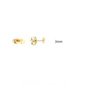 Aramat jewels ® - Zweerknopjes ster goudkleurig chirurgisch staal 3mm