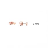 Aramat jewels ® - Oorbellen hartje zweerknopjes rosékleurig chirurgisch staal 3mm