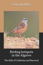 Birding hotspots in the Algarve