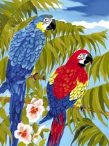 Schilderen op nummer - Paint by numbers - Blauwe en rode papegaai op tak 22x30cm - Schilderen op nummer volwassenen - Paint by numbers volwassenen