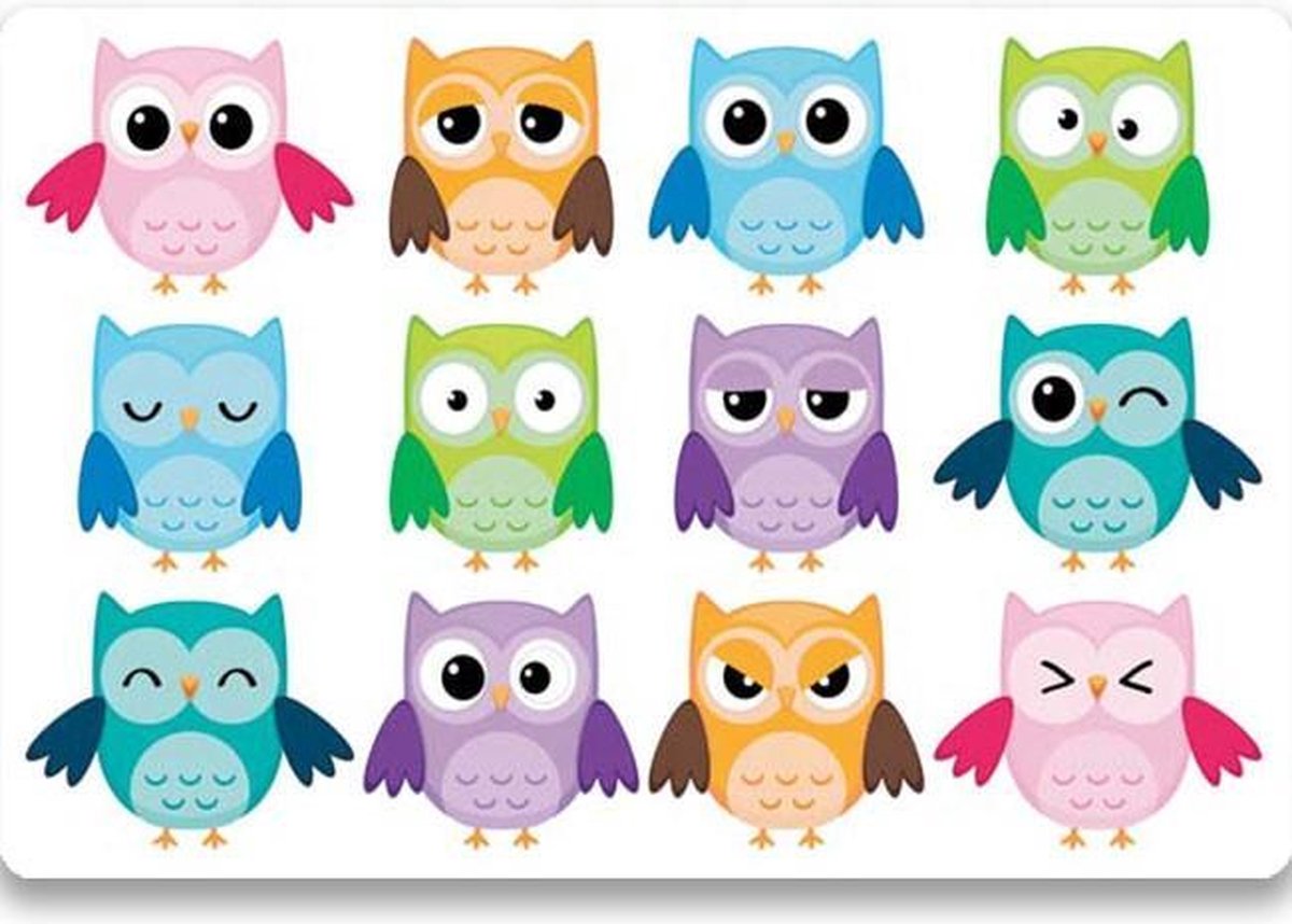4x Placemat Owls | 30x45cm | anti-slip - placemats kinderen - kunststof - uiltjes