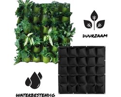 Verticale tuin - Hangende plantenzak - Moestuin - Kruidenmuur - Plantenmuur - Hangende tuin - Hangtuin - Plantenbak | Zwart | 25 ruime vakken | 1x1 m | Waterbestendig Verticale tuin - Hangende plantenzak - Moestuin - Kruidenmuur - Plantenmuur - Hangende tuin - Hangtuin - Plantenbak | Zwart | 25 ruime vakken | 1x1 m | Waterbestendig