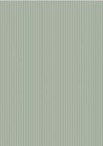 RBC085 Basic Collection A4 200gr Vintage green Stripes