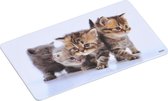 2x Ontbijtbordjes/ontbijtplankjes set kitten print 14 x 24 cm - Ontbijtborden servies voor kinderen - Onbreekbare bordjes voor babys/peuters/kleuters