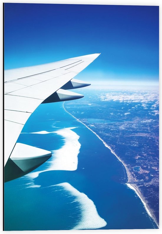 Dibond - Uitzicht op Zee en Vliegtuigvogel - 40x60cm Foto op Aluminium (Wanddecoratie van metaal)