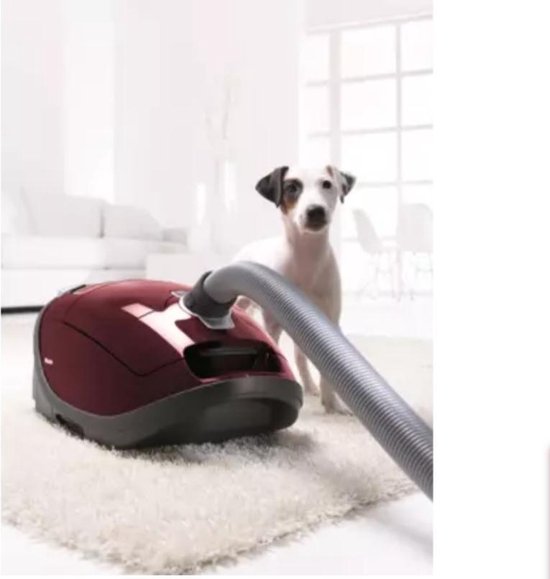 Miele Complete C3 Cat & Dog PowerLine - Aspirateur | bol.com
