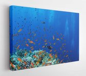 Onlinecanvas - Schilderij - Bright Coral Reef Art Horitonzal Horizontal - Multicolor - 75 X 115 Cm