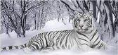 Diamond painting liggende tijger 45x90cm