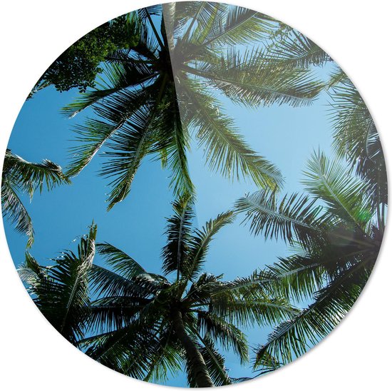 Palmbomen | Wanddecoratie | 100CM x 100CM | Schilderij | Foto op plexiglas | natuur | Landschappen
